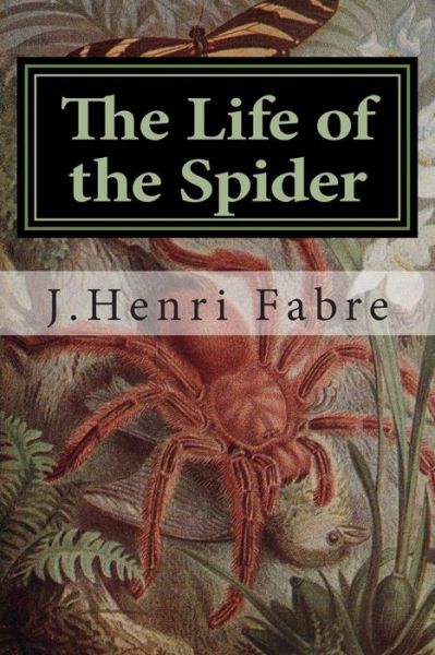 Cover for J Henri Fabre · The Life of the Spider (Paperback Book) (2015)