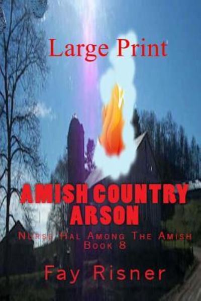 Cover for Fay Risner · Amish Country Arson (Paperback Book) (2016)