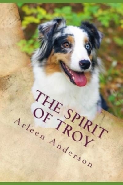 Cover for Arleen McFadden Anderson · The Spirit of Troy (Pocketbok) (2019)