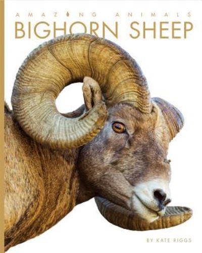 Cover for Kate Riggs · Bighorn Sheep (Hardcover Book) (2017)