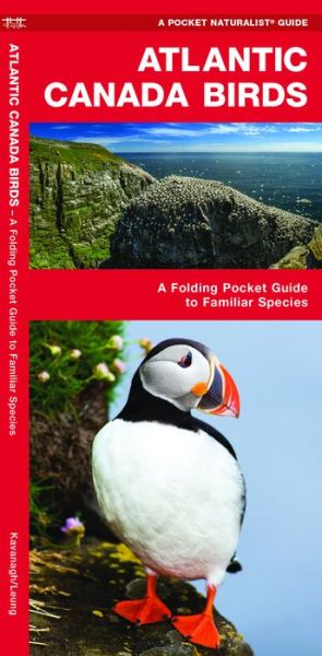 Cover for James Kavanagh · Atlantic Canada Birds: A Folding Pocket Guide to Familiar Species - Wildlife and Nature Identification (Pamphlet) (2019)