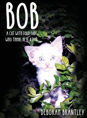 Cover for Deborah Brantley · Bob (Hardcover Book) (2021)