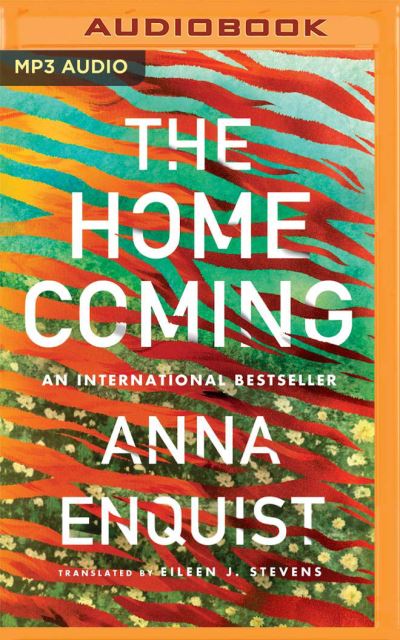 The Homecoming - Anna Enquist - Música - BRILLIANCE AUDIO - 9781713621515 - 1 de abril de 2022