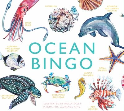Cover for Mike Unwin · Ocean Bingo - Magma for Laurence King (Flashkort) (2018)
