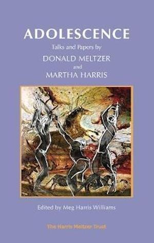 Cover for Donald Meltzer · Adolescence: Talks and Papers by Donald Meltzer and Martha Harris (Paperback Book) [2 New edition] (2018)