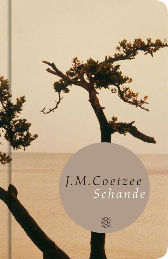 Cover for J. M. Coetzee · Fischer TB.50951 Coetzee.Schande (Bok)