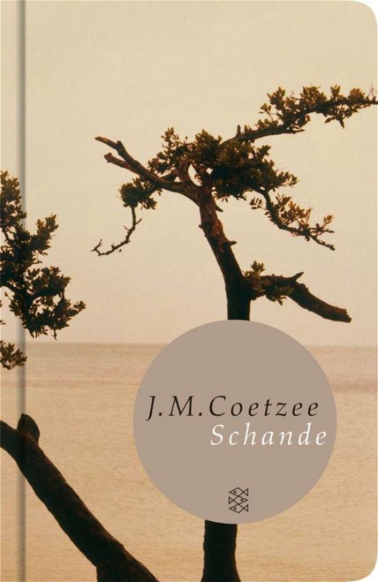 Cover for J. M. Coetzee · Fischer TB.50951 Coetzee.Schande (Bog)