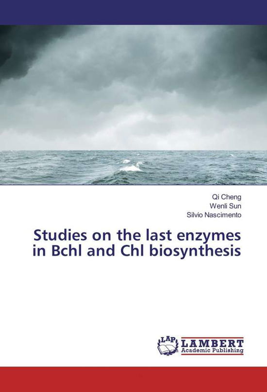 Studies on the last enzymes in Bc - Cheng - Books -  - 9783659716515 - 