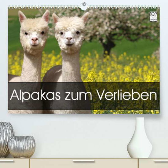 Cover for Rentschler · Alpakas zum Verlieben (Premi (Book)