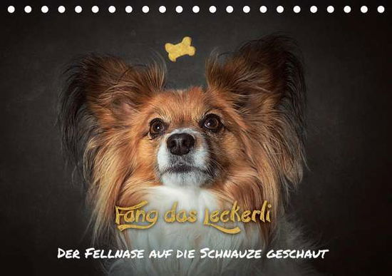 Cover for Schöberl · Fang das Leckerli! (Tischkalen (Book)