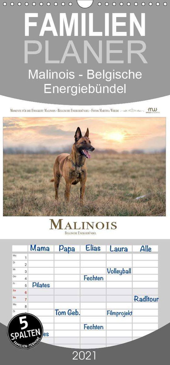 Cover for Wrede · Malinois - Belgische Energiebünde (Book)