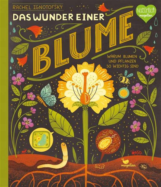 Cover for Rachel Ignotofsky · Das Wunder einer Blume - Warum Blumen und Pflanzen so wichtig sind (Gebundenes Buch) (2021)