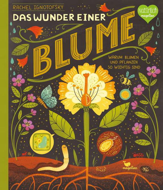 Cover for Rachel Ignotofsky · Das Wunder einer Blume - Warum Blumen und Pflanzen so wichtig sind (Hardcover bog) (2021)