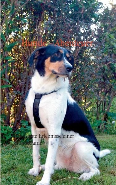 Hunde - Abenteuer - Cm Groß - Bøker - Books On Demand - 9783738606515 - 3. november 2014