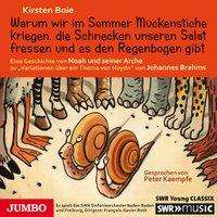 Cover for Boie · Warum wir im Sommer Mückenst.,CD (Bok)