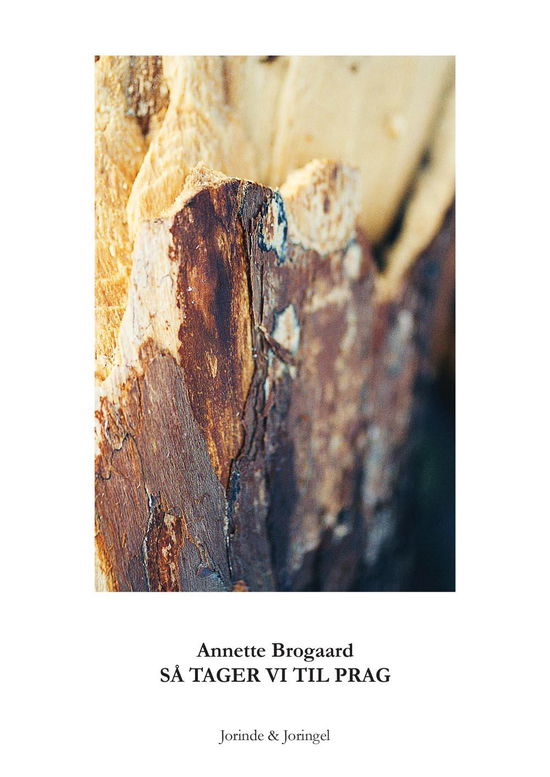 Cover for Annette Brogaard · Så tager vi til Prag (Book) [0th edition] (2012)