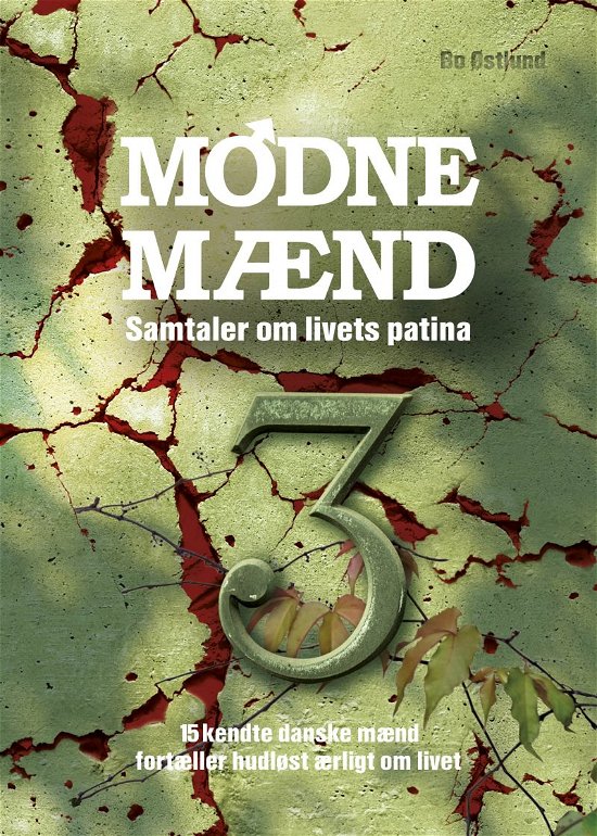 Cover for Bo Østlund · Modne MÃ¦nd 3 (Leketøy) [1. utgave] (2021)