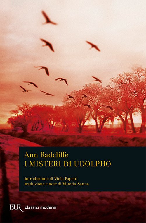 Cover for Ann Radcliffe · I Misteri Di Udolpho (Bok)