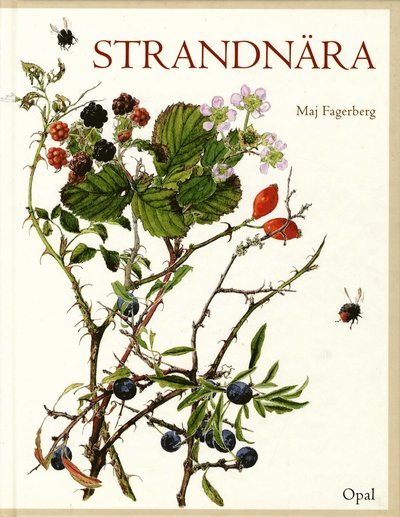 Cover for Maj Fagerberg · Strandnära (Innbunden bok) (2001)