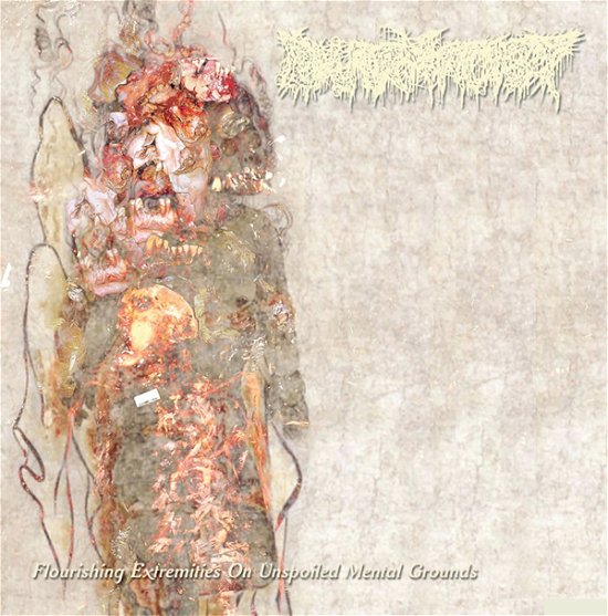 Cover for Pharmacist · Flourishing Extremities on Unspoiled Mental Grounds (LP) (2023)