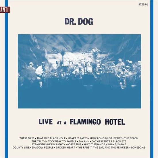 Cover for Dr. Dog · Live At A Flamingo Hotel (LP) (2015)