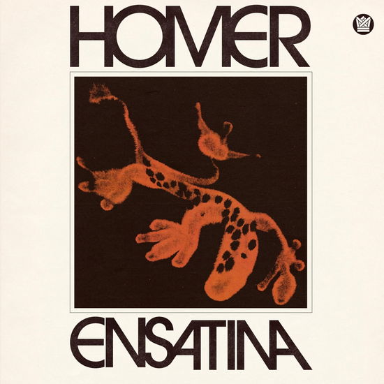 Homer · Ensatina (LP) (2024)