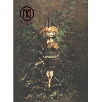 Cover for Nyss · Depayser (A5 Digibook) (CD) [Digipak] (2019)