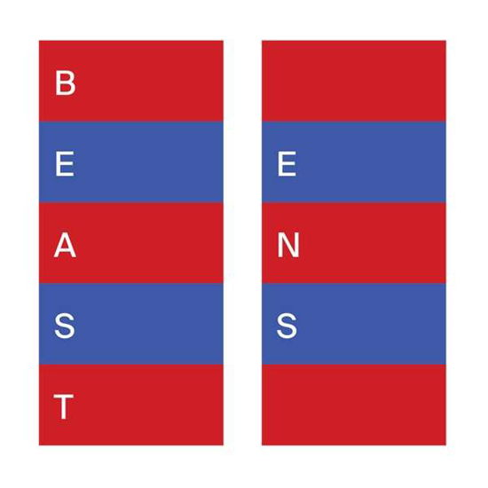 Ens - Beast - Música - THRILL JOCKEY - 0790377047516 - 9 de novembro de 2018