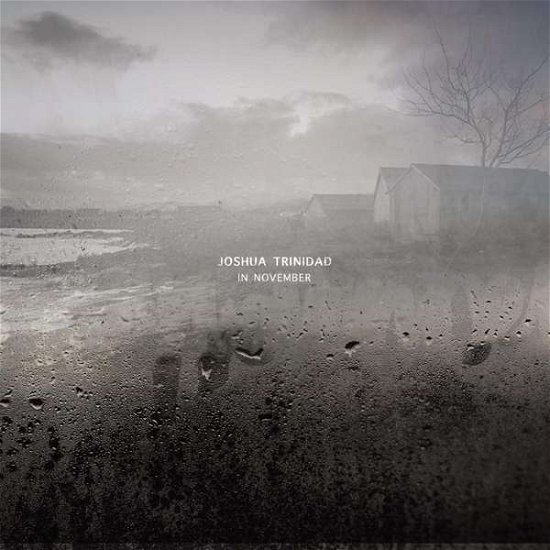 Cover for Joshua Trinidad · In November (CD) [Digipak] (2018)