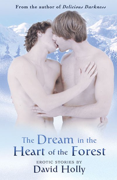 Cover for David Holly · The Dream In The Heart Of The Forest (Paperback Book) (2013)