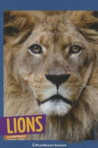 Lions - Arnold Ringstad - Books - Amicus - 9781622432516 - August 1, 2015