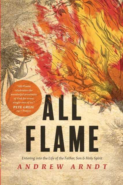Cover for Andrew Arndt · All Flame (Book) (2020)