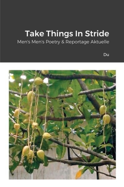 Cover for Du · Take Things In Stride: Men's Men's Poetry &amp; Reportage Aktuelle (Paperback Bog) (2021)