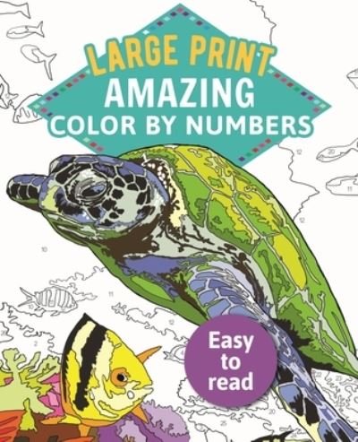 Large Print Color by Numbers 2 - Arcturus Publishing - Books - Arcturus Publishing - 9781789500516 - November 1, 2019