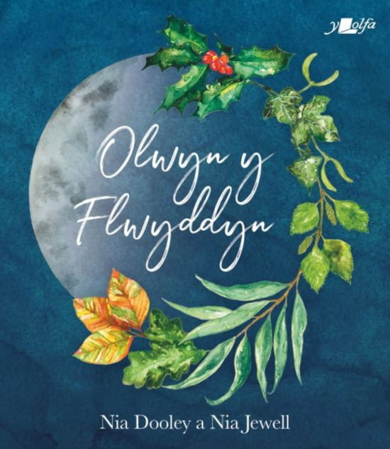 Cover for Nia Jewell · Olwyn y Flwyddyn (Hardcover bog) (2025)