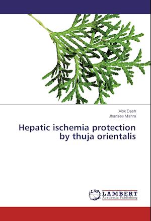 Cover for Dash · Hepatic ischemia protection by thu (Book)