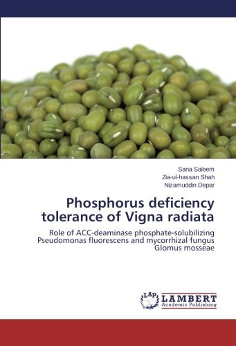 Cover for Nizamuddin Depar · Phosphorus Deficiency Tolerance of Vigna Radiata: Role of Acc-deaminase Phosphate-solubilizing Pseudomonas Fluorescens and Mycorrhizal Fungus Glomus Mosseae (Taschenbuch) (2014)