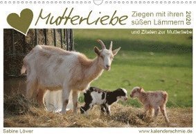 Mutterliebe - Ziegen mit ihren sü - Löwer - Böcker -  - 9783671177516 - 