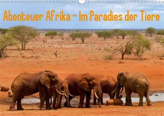 Cover for Rohr · Abenteuer Afrika - Im Paradies der (Book)