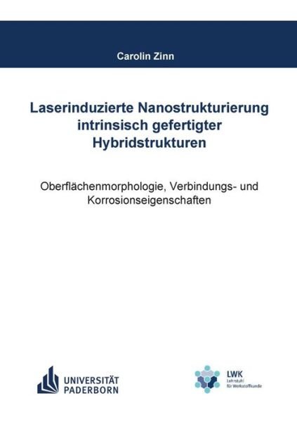 Cover for Zinn · Laserinduzierte Nanostrukturierung (Bok) (2019)