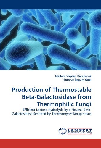 Cover for Zumrut Begum Ogel · Production of Thermostable Beta-galactosidase from Thermophilic Fungi: Efficient Lactose Hydrolysis by a Neutral Beta-galactosidase Secreted by  Thermomyces Lanuginosus (Taschenbuch) (2010)