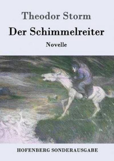 Cover for Theodor Storm · Der Schimmelreiter: Novelle (Paperback Bog) (2016)