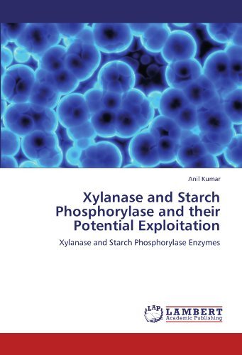 Cover for Anil Kumar · Xylanase and Starch Phosphorylase and Their Potential Exploitation: Xylanase and Starch Phosphorylase Enzymes (Paperback Book) (2011)