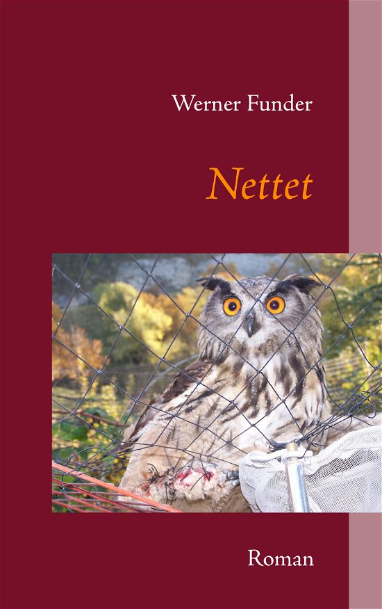 Cover for Werner Funder · Nettet (Taschenbuch) [1. Ausgabe] (2011)