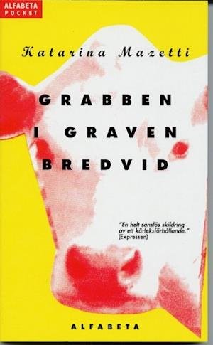 Cover for Katarina Mazetti · Grabben i graven bredvid (Paperback Book) (2002)