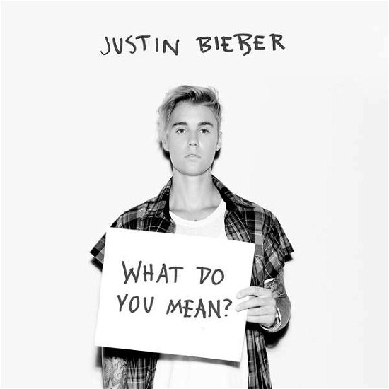 What Do You Mean? (2-trac - Justin Bieber - Musikk - Def Jam (Universal Music) - 0602547603517 - 9. oktober 2015