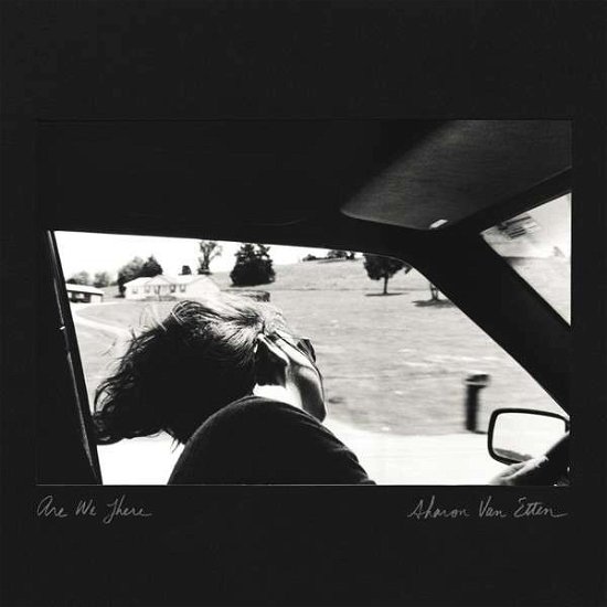 Cover for Sharon Van Etten · Are We There (LP) (2014)