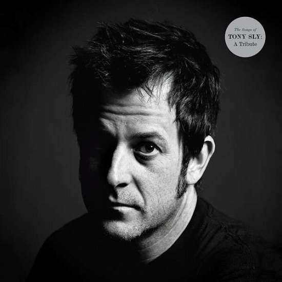 Cover for Tony.=Trib= Sly · The Songs of Tony Sly: a Tribute (LP) [Limited edition] (2013)