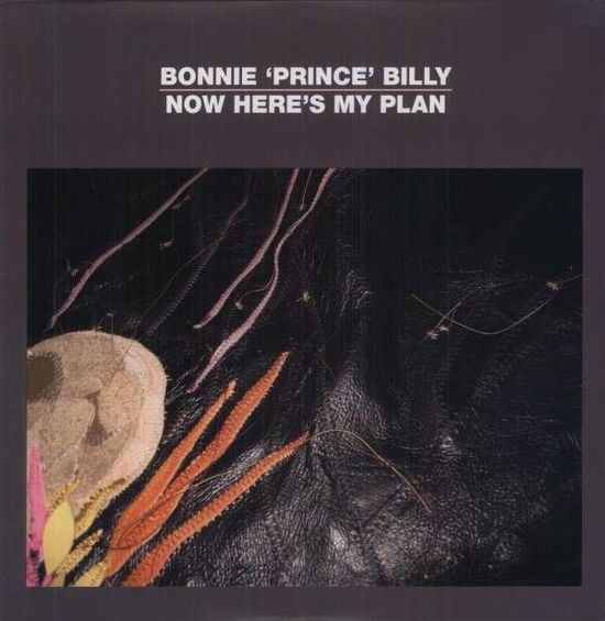 Now Here's My Plan - Bonnie Prince Billy - Musik - DRAG CITY - 0781484052517 - 21. oktober 2020