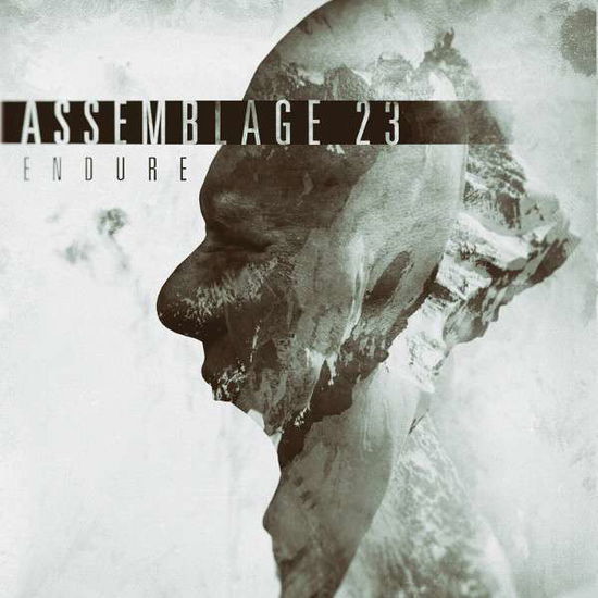 Cover for Assemblage 23 · Endure Limited Edition LP (LP) [Limited, EP edition] (2025)